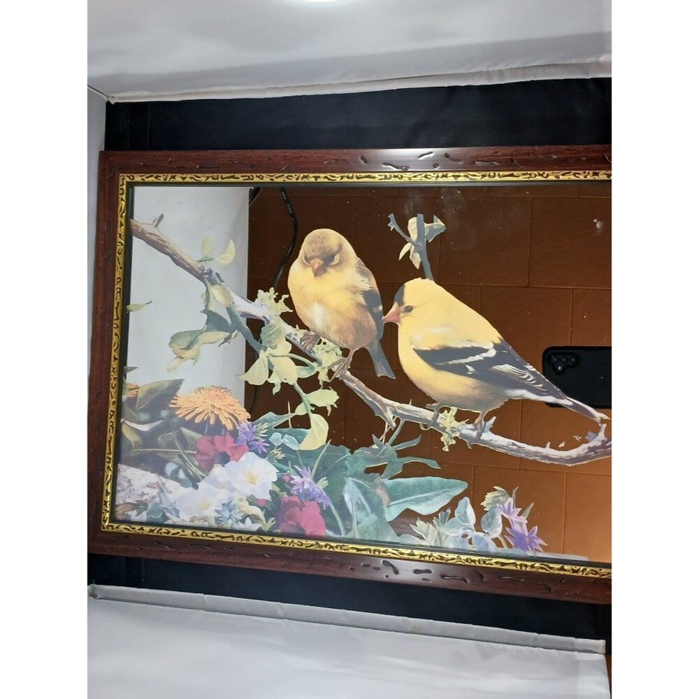 Vintage Framed Mirror with Bird Design 12in x 17.5in
